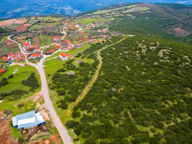 Kepsut proje manzarası