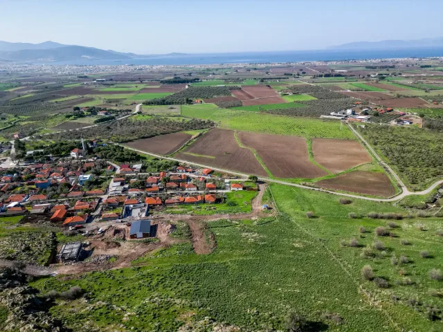 Dikili proje manzarası