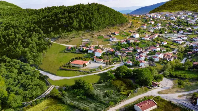 Delice projesi — galeri görseli 3