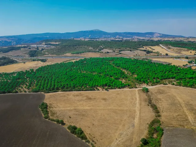Balıklıdere projesi — galeri görseli 2