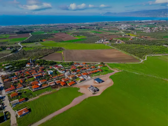 Huzuru Hissedin
Dikili