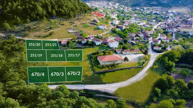 Delice projesi — galeri görseli 2